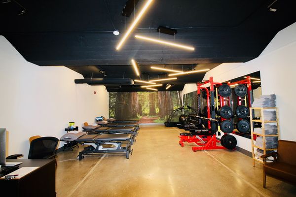 Physiotherapy gym with a forest mural and exercise equipment